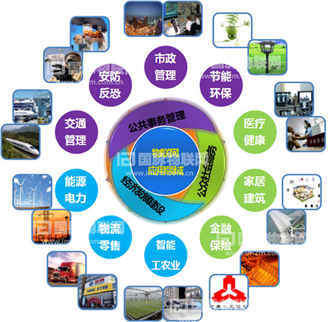 杨冰之：重视物联网在关键产业的应用