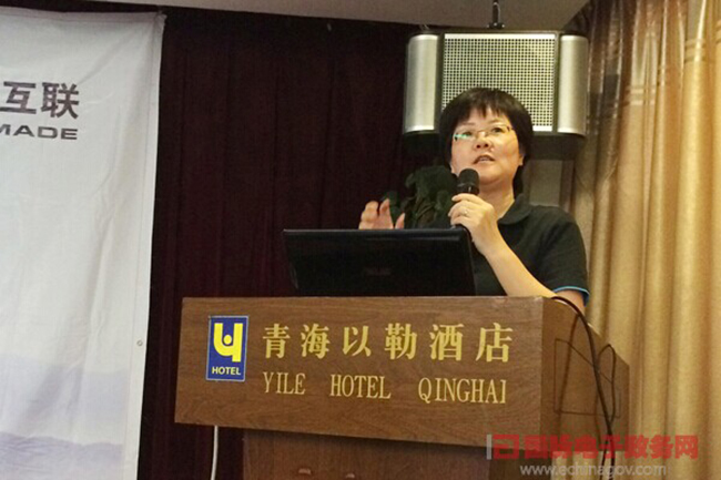 摩域体育平台互联总经理、首席规划师郑爱军正在进行《政府网站+评估体系构建思路》的主题演讲