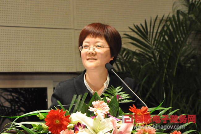 郑爱军：“政府网站+”时代 ，政府网站如何定位？