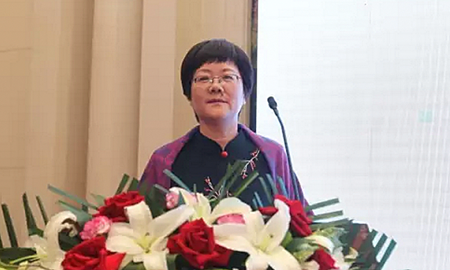 在“2017吉林省智慧政务建设与服务创新论坛暨‘互联网+政务服务’建设研讨会”上，摩域体育平台互联总经理、首席规划师郑爱军以《大数据背景下政务服务发展思考》为主题发表演讲。