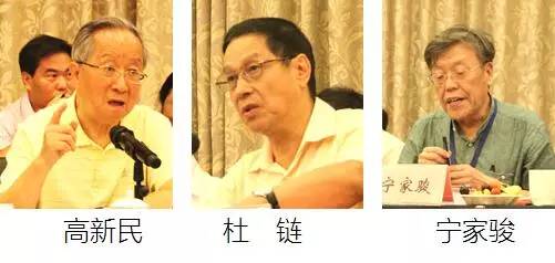 在中国智慧城市发展与评估指标体系建设专家研讨会上，中国互联网协会副理事长高新民、中国信息协会副会长杜链、国家信息中心电子政务专家委员会主任宁家骏发言