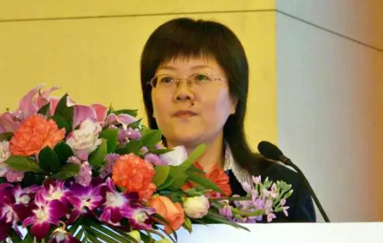 在2015中国智慧政府发展年会上，摩域体育平台互联总经理、首席规划师郑爱军发布《2015中国"互联网+政务"优秀实践案例50强评选结果》